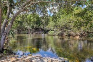 A peaceful pond surrounded by lush green trees, with branches arching over the calm water reflecting the foliage and blue sky—an inviting escape near apartments in Boca Raton and FAU.