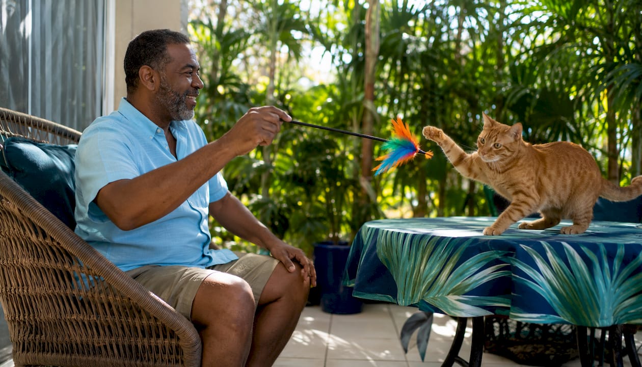 Man playing wand toy with cat indoors