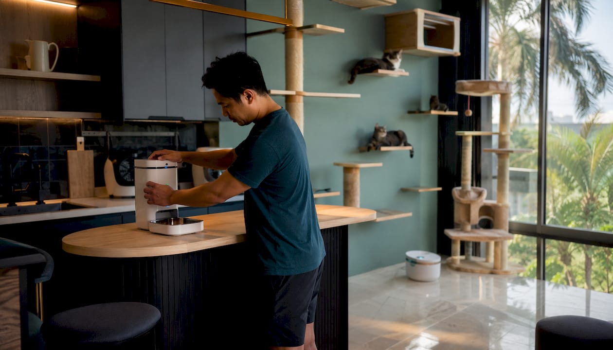 Apartment interior with vertical cat spaces
