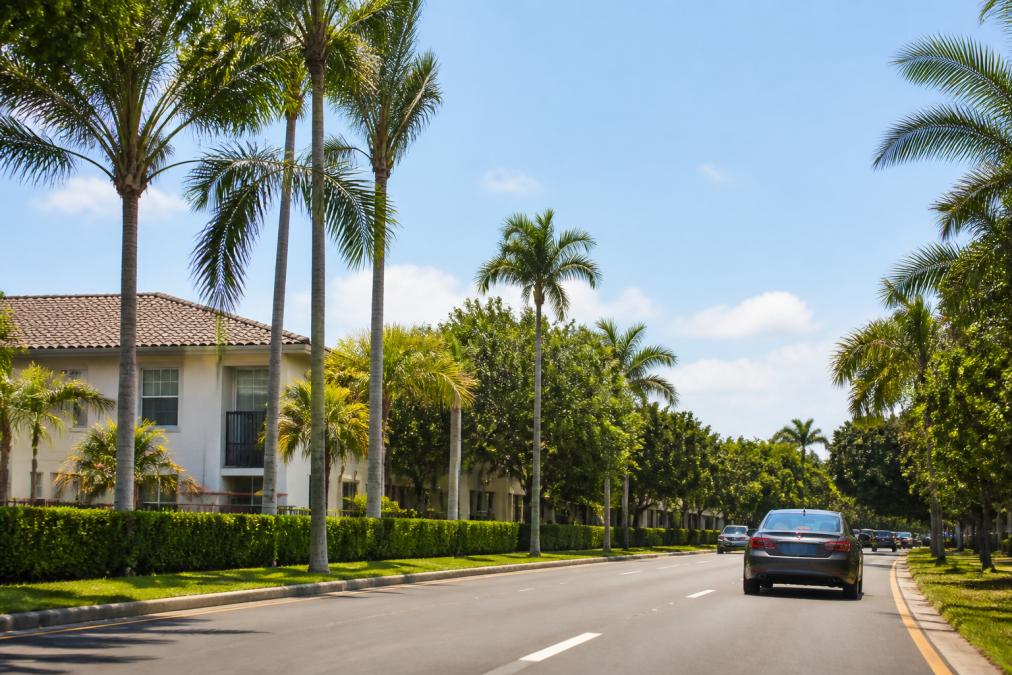 A sunny street lined with palm trees, cars driving, and residential buildings with tile roofs and trimmed hedges along the sidewalk—perfect for those looking to reduce commute time in Boca Raton.