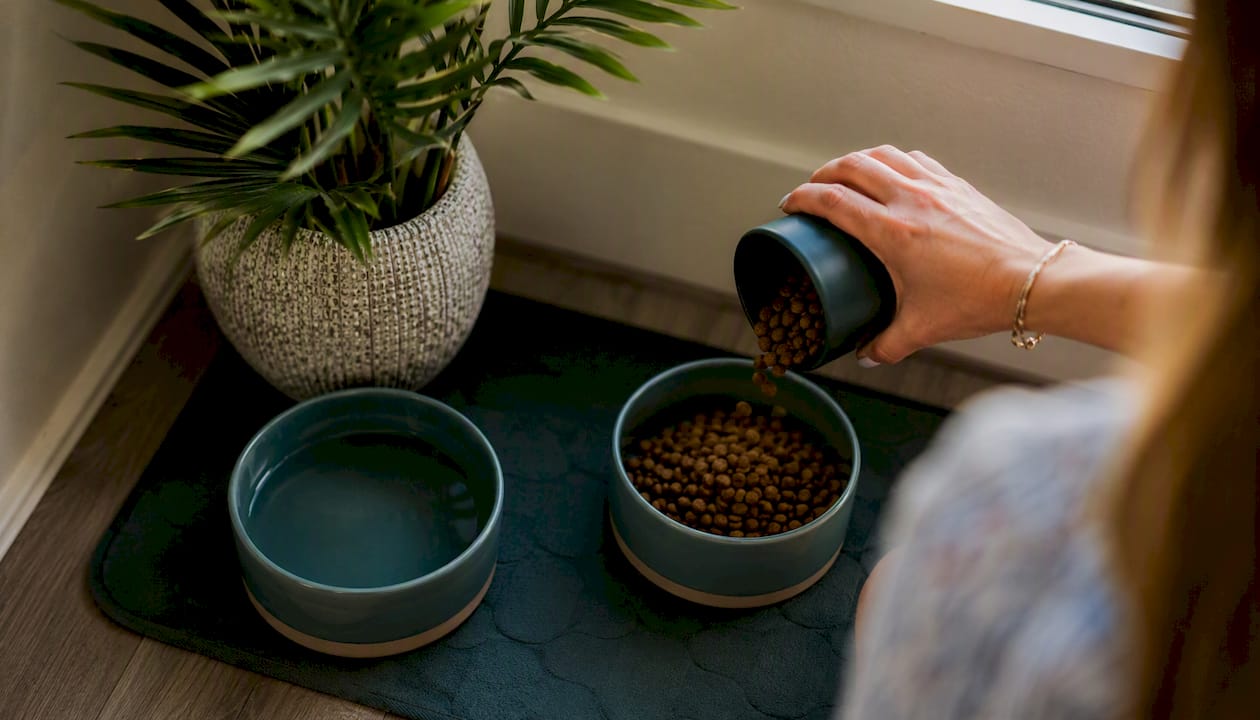 Real Advantages of Living With Cats, Backed by Science 2 Hand pouring food into cat bowl