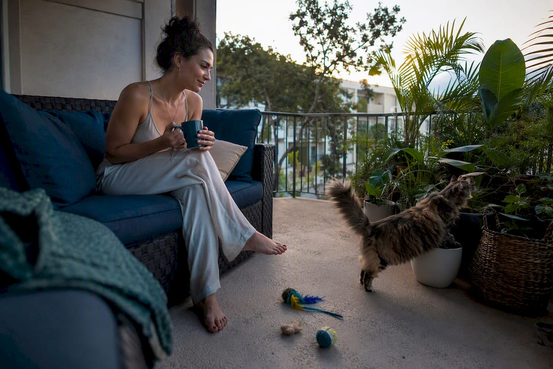 Cat exploring pet-friendly balcony in apartment