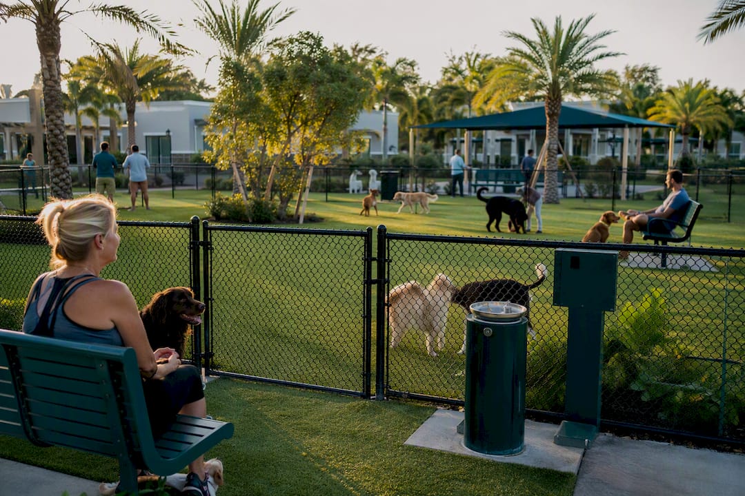 Divided fenced runs for dogs by size