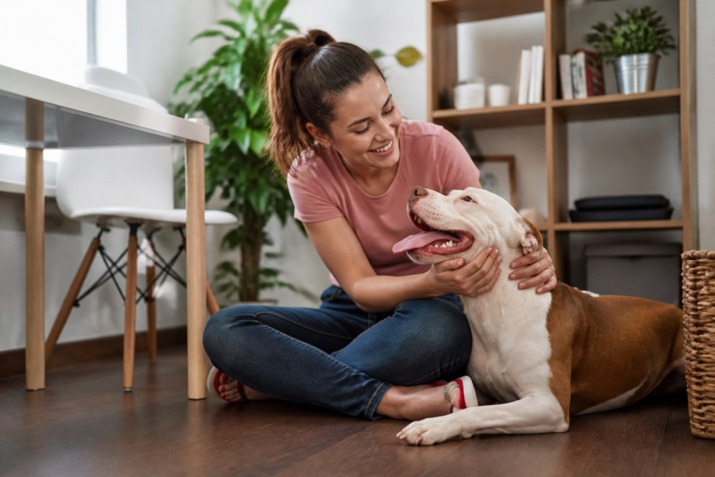 Read more about the article Best Alternatives to Breed Restricted Apartments in 2026