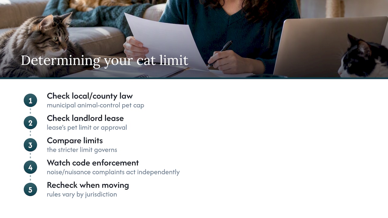 Renters: Keep Multiple Cats Without Eviction, HUD Rights, n+1 Care 3 Lease and local ordinance comparison
