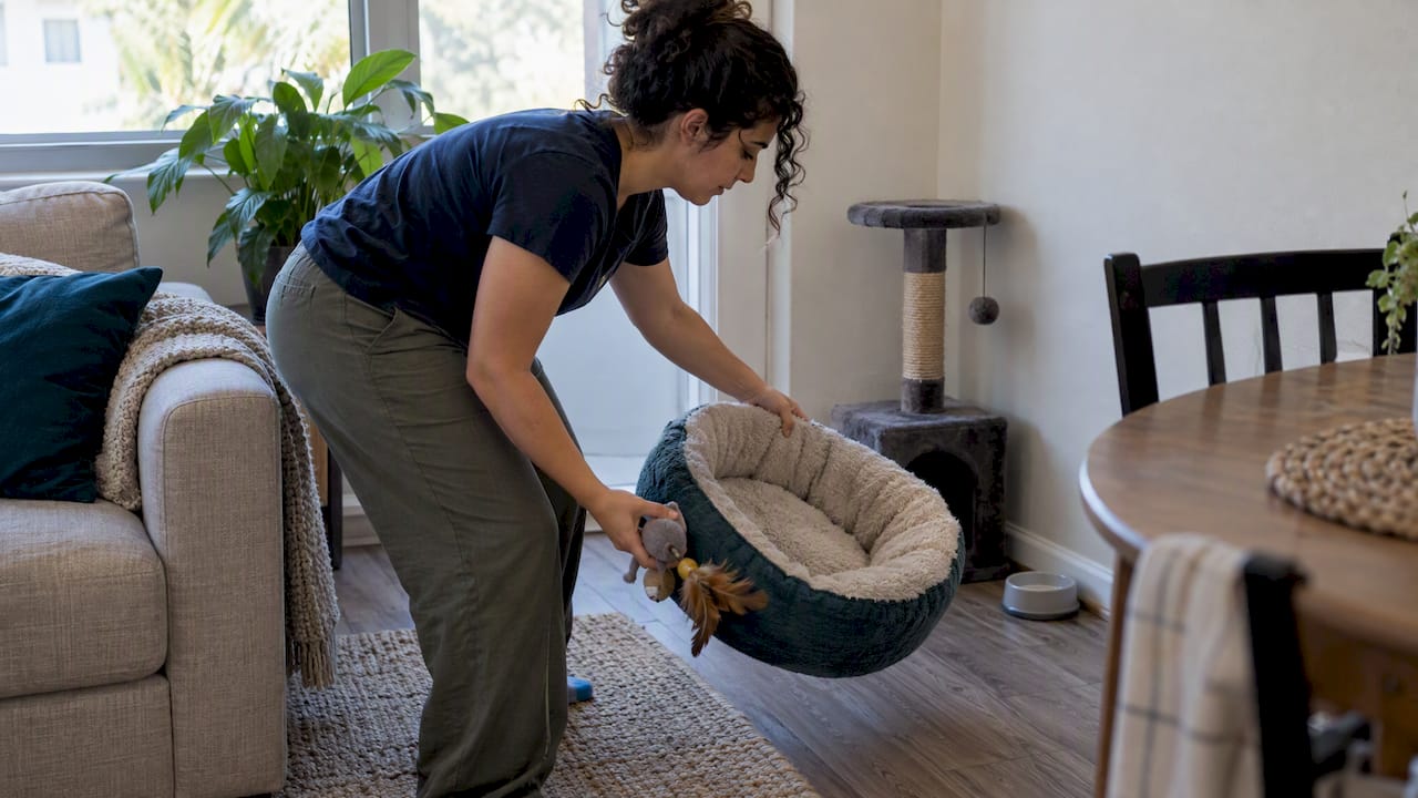 Cat owner putting away pet items before a tour