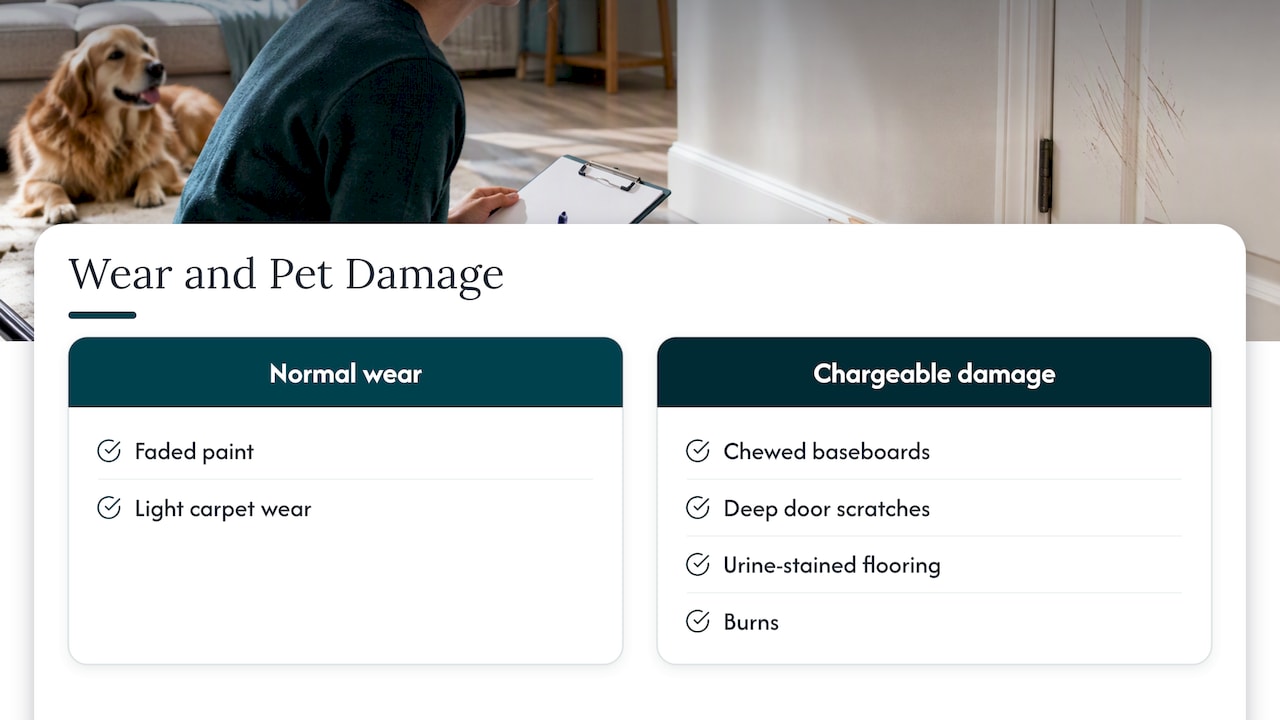 Pet Cleaning Fee: What It Covers and What You Can Be Charged 2 Normal wear compared with chargeable pet damage
